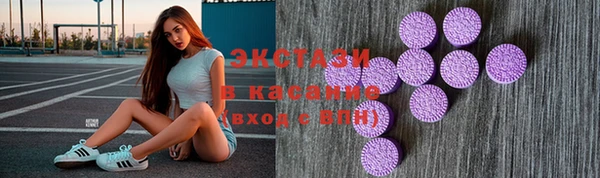стаф Инта