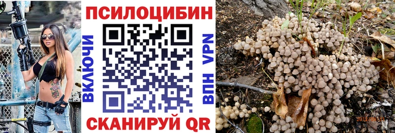 наркотики  Алупка  Галлюциногенные грибы прущие грибы 